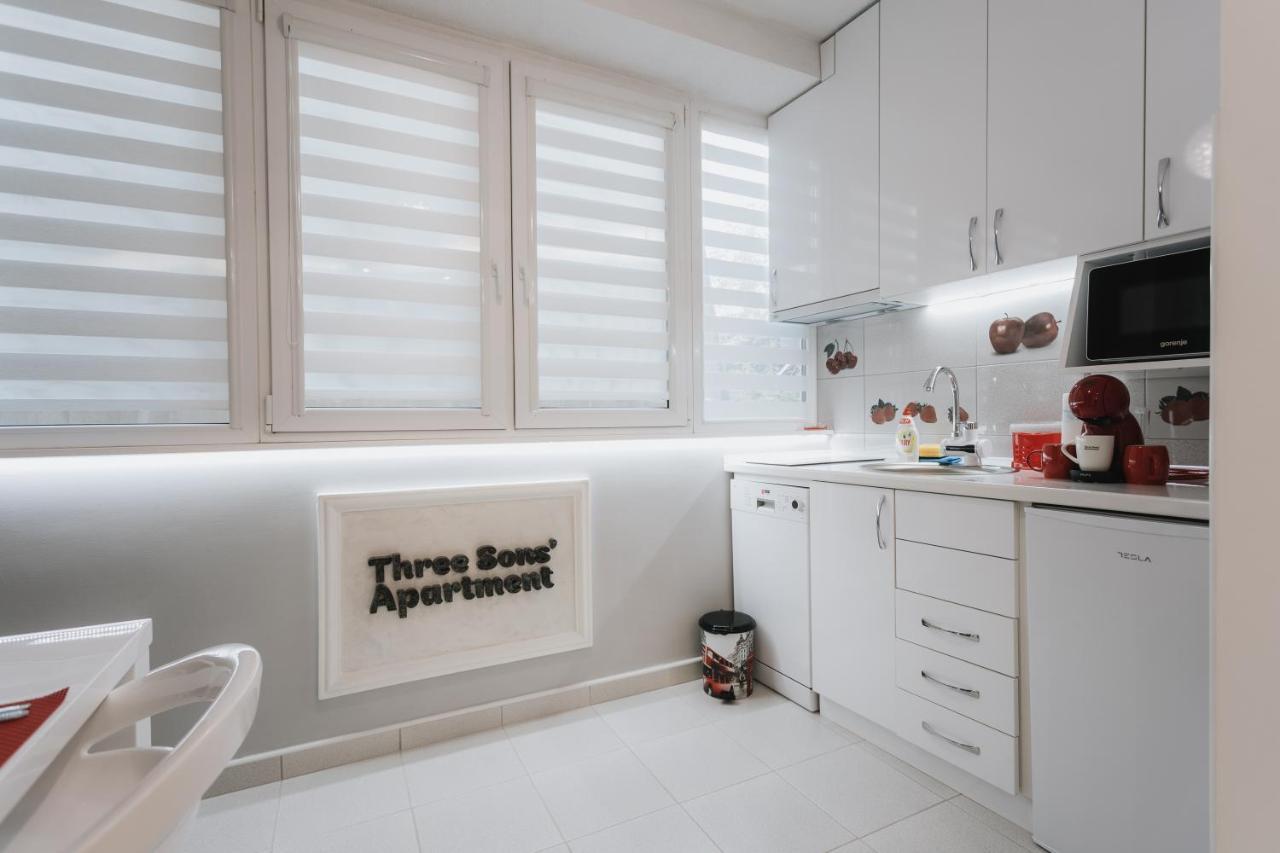 Three Sons Apartment Novi Sad Exterior foto